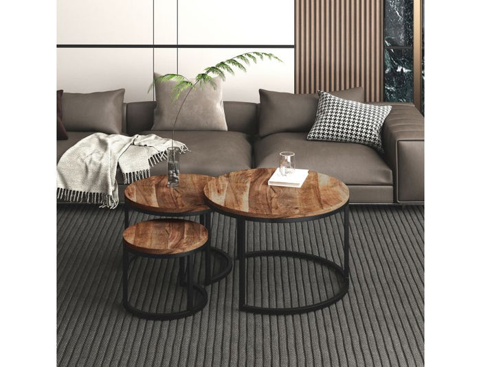 Darsh 3pc Nesting Coffee Table Set
