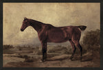 Vintage Horse 1